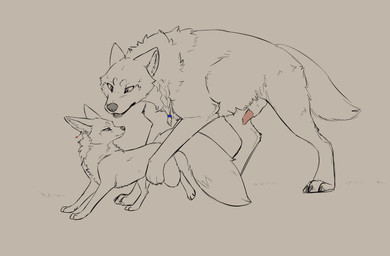 animal_genitalia animal_penis canine_genitalia canine_penis duo erection feral feral_on_feral genitals knot knotted_penis male male/male penis sheath championwhoops_(artist) canid canine canis fox mammal wolf absurd_res hi_res