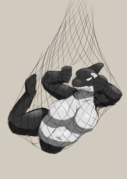 angry anthro bared_teeth big_breasts breasts female fishing_net navel net nude nude_anthro nude_female slightly_chubby solo thick_thighs lizardanon dc_comics grace_balin orca_(dc) cetacean dolphin mammal marine oceanic_dolphin orca toothed_whale hi_res