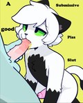 anthro black_body black_ears black_fur black_fur_markings black_tail blush bodily_fluids drinking drinking_urine duo erection eyelashes fellatio fur genital_fluids genitals green_eyes kneeling kneeling_oral_position lgbt_pride male male/male oral paws peeing penile penis penis_in_mouth pride_colors sex simple_background solo steam tail text urine urine_in_mouth urine_on_fur watersports white_body white_fur yellow_background blizzardfur-maxxx blizzardfur domestic_cat felid feline felis mammal absurd_res english_text hi_res