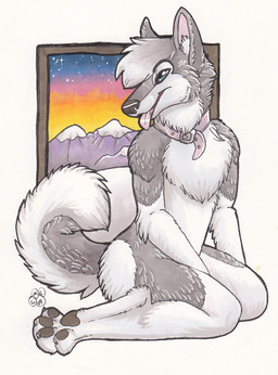 anthro belly biped black_nose black_pawpads blue_eyes border chest_tuft claws collar collar_only eyebrows feet female flat_chested fluffy fluffy_tail fur grey_body grey_fur grey_hair hair kneeling mountain multicolored_body multicolored_fur naturally_censored night nude open_mouth open_smile pawpads paws pink_tongue short_hair sky slim smile snow solo star starry_sky sunset tail teeth tongue tongue_out tuft two_tone_body two_tone_fur white_belly white_body white_border white_fur blondefoxy canid canine canis domestic_dog husky mammal nordic_sled_dog spitz 2008 marker_(artwork) pen_(artwork) signature traditional_media_(artwork)