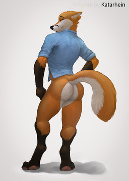 anthro athlete bottomless brown_body brown_fur butt clothed clothing eyes_closed fur gloves_(marking) grey_background hand_on_hip leg_markings male markings orange_body orange_fur pawpads pose raised_tail rear_view simple_background socks_(marking) solo standing tail white_body white_fur katarhein canid canine fox mammal full-length_portrait hi_res pinup portrait