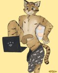 anthro balls clothed clothing computer electronics erection foreskin front_view genitals home laptop looking_at_computer looking_at_laptop looking_at_object male nipples nude partially_clothed penis pillow relaxing resting simple_background slight_smile solo spread_legs spreading tail underwear underwear_down yellow_background forfigssake_(artist) pracuj_pl filip_mialczynski domestic_cat felid feline felis mammal tabby_cat hi_res