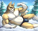 abs anthro biceps brown_body brown_fur bulge canid canine canis clear_sky clothed clothing cloud cocky_smile domestic_dog evergreen_tree eyewear fangs flexing fur fuzziness glasses green_eyes herding_dog hi_res light looking_at_viewer lying lying_on_snow male mammal mountain muscular muscular_chest muscular_legs muscular_male navel nipples on_side pastoral_dog pine_tree plant sky smile smiling_at_viewer snow solo sunlight tail teeth thong thong_only toothy_grin topless tree underwear underwear_only vein veiny_muscles welsh_corgi white_body white_fur yellow_body yellow_fur