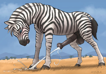 animal_genitalia animal_penis balls big_balls big_penis black_balls black_penis black_stripes blue_eyes blush bodily_fluids cum cum_on_ground cumshot darkened_balls darkened_genitalia darkened_penis ejaculation equine_genitalia equine_penis erection feral flared_penis fur genital_fluids genitals grass half-closed_eyes hands-free hooves looking_down looking_pleasured male male_feral mane markings medial_ring narrowed_eyes open_mouth orgasm outside penis plant quadruped simple_background sky solo spontaneous_ejaculation standing striped_body striped_fur striped_markings stripes tail unguligrade urethra white_body white_fur koba equid equine mammal zebra absurd_res hi_res