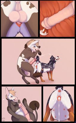 after_sex after_vaginal animal_genitalia animal_penis animal_vulva anus balls belly big_belly bodily_fluids canine_genitalia canine_vulva cervical_contact cum cum_from_vagina cum_in_uterus cum_in_vagina cum_inflation cum_inside cum_on_back cum_on_body cum_on_fur cum_on_self duo ejaculation equine_genitalia equine_penis erection female female_penetrated feral feral_on_feral feral_penetrated feral_penetrating feral_penetrating_feral gaping gaping_vagina genital_fluids genitals inflation internal internal_vaginal interspecies large_penetration male male/female male_penetrating male_penetrating_female penetration penile penile_penetration penis sex size_difference smaller_penetrated uterus vaginal vaginal_penetration vulva nauticalcanine sugarsnap_(nauticalcanine) asinus australian_shepherd canid canine canis domestic_dog donkey equid equine herding_dog mammal pastoral_dog sheepdog absurd_res comic hi_res