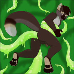 anal anal_penetration goo_tentacles male penetration restrained restrained_by_tentacles sex tentacle_in_ass tentacle_penetration tentacle_sex tentacles gothicsiamese gulonine mammal marten mustelid musteline hi_res