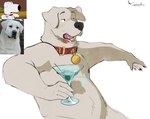 alcohol anthro beverage biped collar fur half-closed_eyes holding_object looking_away male margarita name_tag narrowed_eyes nipples open_mouth red_collar simple_background sitting slightly_chubby solo white_background white_body white_fur thesmilingbox family_guy brian_griffin bird_dog canid canine canis domestic_dog hunting_dog labrador mammal retriever hi_res reference_image