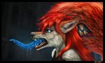 anthro bared_teeth blue_eyes bodily_fluids drooling ear_piercing female fur inner_ear_fluff perspective_shot piercing realistic realistic_fur red_body red_fur saliva side_view solo tail tail_mouth teeth teeth_showing tongue tongue_out tuft unusual_anatomy unusual_tail decadia legend_of_ahya ahya_(legend_of_ahya) taylor_renee_wolford_(darkflamewolf) canid canine canis mammal wolf bust_portrait hi_res portrait