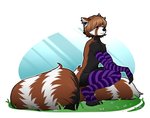 anthro arm_warmers armwear brown_hair clothing femboy flower footwear grass hair legwear long_tail looking_at_viewer male nature plant purple_eyes smile socks solo tail thigh_highs thigh_socks hazelkisses trau ailurid mammal red_panda