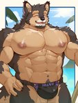 abs anthro beach blush brown_body brown_fur bulge clothing eyebrows fur male muscular muscular_anthro muscular_male nipples one_eye_closed pecs solo speedo swimwear thick_eyebrows wink edamrit lifewonders live_a_hero pubraseer canid canine canis domestic_dog mammal hi_res