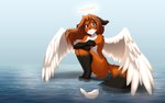 anthro bodily_fluids feathered_wings feathers female halo looking_at_viewer sad sitting solo tears water wings zhorrito twokinds laura_(twokinds) canid canine fox keidran mammal hi_res