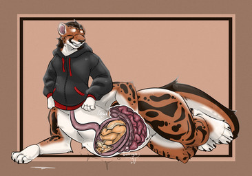 abdominal_bulge bottomless clothed clothing duo guts hand_on_belly hoodie hoodie_only inside inside_stomach internal intestines lying male male/male male_pred markings nude on_front organs spots spotted_markings topwear topwear_only vore gurglegluts canid canine cheetah cheetah_taur felid felid_taur feline feline_taur fennec_fox fox mammal mammal_taur taur true_fox hi_res