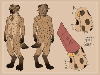 animal_genitalia anthro border brown_border close-up exaggerated_mastectomy_scar fur furgonomic_piercing furgonomics genital_close-up genital_piercing genitals male mastectomy_scar multiple_piercings penis piercing scar sheath sheath_piercing solo tongue tongue_piercing gibberishpie hyena mammal spotted_hyena 4:3 hi_res model_sheet trans_(lore) trans_man_(lore)