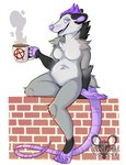 anthro beverage breasts coffee coffee_mug featureless_breasts featureless_crotch feet female fingers fur grey_body grey_fur hair half-closed_eyes holding_object looking_at_viewer mohawk narrowed_eyes navel nude open_mouth purple_eyes purple_flesh purple_hair simple_background sitting sitting_on_wall slightly_chubby slightly_chubby_female smile smiling_at_viewer solo tasteful_nudity tuft wall_(structure) vermine american_opossum mammal marsupial virginia_opossum digital_media_(artwork)