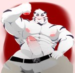 anthro bodily_fluids erection genitals male muscular muscular_male nude pecs penis solo aruu_ashe felid mammal pantherine tiger hi_res