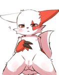 anus female generation_3_pokemon genitals hanaman nintendo nipples pokemon pokemon_(species) pussy solo zangoose