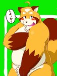 anthro balls belly blush brown_body brown_fur fur genitals green_background humanoid_hands kemono male moobs overweight overweight_anthro overweight_male simple_background solo text armadirou canid canine mammal raccoon_dog tanuki 2020 3:4 hi_res japanese_text translated