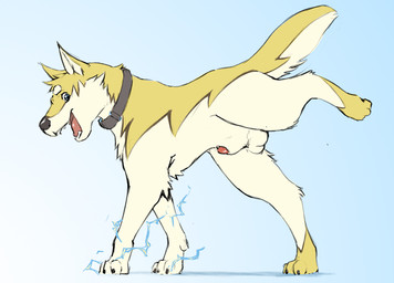 animal_genitalia animal_penis balls black_nose blue_background blue_eyes canine_genitalia canine_penis claws collar digitigrade electrogenesis fangs feral finger_claws fur genitals gradient_background leg_markings looking_at_viewer male markings open_mouth open_smile penis penis_tip presenting presenting_penis presenting_sheath quadruped raised_leg sheath simple_background smile snout socks_(marking) solo teeth toe_claws tongue yellow_body yellow_fur slate canid canine mammal