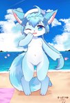 ahoge anthro beach blue_eyes blue_hair female fur genitals hair navel nipples nude open_mouth outside pink_nipples pussy sea seaside solo water kryztar cat_busters akurara domestic_cat felid feline felis mammal absurd_res digital_media_(artwork) hi_res shaded