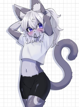 adolescent anthro blush bottomwear clothed clothed_anthro clothed_male clothing crop_top femboy fur grey_body grey_fur grey_hair hair kemono looking_at_viewer male male_anthro midriff navel purple_eyes shirt shorts solo spandex spandex_shorts tail tight_bottomwear tight_clothing tight_shorts topwear tuft tying_hair young young_anthro young_male 115meg crescen_(crescencat) domestic_cat felid feline felis mammal 2024 digital_media_(artwork) hi_res portrait three-quarter_portrait