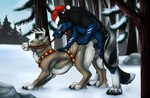 anal anal_penetration animal_genitalia animal_pussy antlers balls black_body black_fur black_nose black_pawpads blue_balls blue_body blue_eyes blue_fur blue_sky brown_body brown_fur canine_genitalia canine_pussy christmas_clothing christmas_headwear clothing duo erection fangs female female_penetrated feral feral_on_feral feral_penetrated feral_penetrating feral_penetrating_feral from_behind_position fur genitals hat headgear headwear holidays horn knot looking_pleasured male male/female male_penetrating male_penetrating_female narrowed_eyes pawpads penetration penile penile_penetration penis_in_ass plant pussy rock santa_hat sex side_view sky smile teeth tree white_antlers white_body white_fur yellow_eyes killthe_demon christmas canid canine mammal hi_res