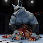 all_fours anal anal_penetration anthro anthro_on_anthro anthro_penetrated anthro_penetrating anthro_penetrating_anthro anthro_penetrating_male arm_grab arm_wrapping arm_wraps ball_slap balls balls_deep being_watched biceps bottomless bouncing_butt butt butt_jiggle butt_physics camera_flash cheek_tuft claws clothed clothing crowd crowd_watching defeat defeat_sex defeated dominant dominant_male domination/submission duo erection exhibitionism facial_markings facial_tuft fighting_ring fingerless_gloves fur fuzzy genitals gloves grappling grey_body grey_fur grin group half-closed_eyes hand_on_face hand_on_head handwear head_markings humanoid_genitalia humanoid_penis inside interspecies jiggling leg_wrap leg_wraps live_tv livestream looking_at_another looking_pleasured lying male male/male male_penetrated male_penetrating male_penetrating_anthro markings mask_(marking) moan muscular muscular_anthro muscular_male narrowed_eyes nude on_front open_mouth open_smile orange_body orange_fur partially_clothed pecs penetration penile penile_penetration penis penis_in_ass pinned pinned_arm pinned_head pinned_to_ground public public_sex red_clothing red_eyes rough_sex sex shirt slap smile submissive submissive_male tail tail_motion tank_top teeth thrusting topwear tuft wrapped_arms wrapped_legs wraps wrestler wrestler_costume wrestling chopanther sound_warning leothemodeler valorlynz_(modeler) dreamworks puss_in_boots_(franchise) death_(puss_in_boots) canid canine canis felid mammal pantherine tiger wolf 1:1 2025 3d_(artwork) 3d_animation animated digital_media_(artwork) loop short_playtime sound webm