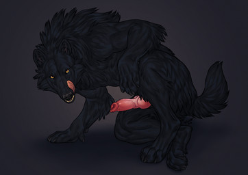 animal_genitalia animal_penis anthro big_feet black_body black_fur canine_genitalia canine_penis crouching feet fur genitals hand_on_ground handpaw knot knotted_penis licking licking_lips looking_at_viewer male muscular muscular_anthro paws penis simple_background solo tail teeth tongue tongue_out yellow_eyes wwer mythology canid canine mammal mythological_canine mythological_creature werecanid werecanine werecreature werewolf