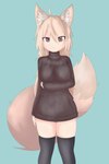 absolute_territory brown_eyes clothed clothing female panties solo underwear yorusagi animal_humanoid canid canine fox humanoid mammal 2017 hi_res