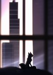 anthro building fur light male red_eyes shadow sitting skyscraper solo sunset window h56_(hikkoro) canid canine fox mammal