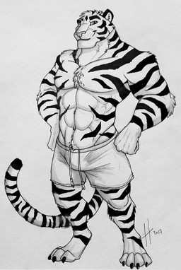 anthro barefoot bottomwear clothed clothing feet front_view looking_at_viewer male male_anthro markings mouth_closed muscular muscular_anthro muscular_male shorts simple_background solo standing striped_legs striped_markings striped_tail stripes tail tail_markings topless hufnaar felid mammal pantherine tiger 2017 dated full-length_portrait hi_res monochrome portrait sketch