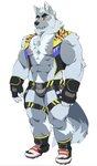 abs anthro biceps bottomwear canid canine canis clothing fingerless_gloves fur gloves handwear legwear male mammal merfiller muscular muscular_anthro muscular_male nipples pecs simple_background solo wolf