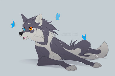 ambiguous_gender black_nose blue_eyes cheek_tuft eyelashes facial_tuft female feral fur grey_background grey_body grey_fur grey_markings group heterochromia larger_female long_snout looking_at_another lying markings nude on_front open_mouth orange_eyes simple_background size_difference snout tail tuft azzai azzai_wanderia_(azzai) arthropod butterfly canid canine canis insect lepidopteran mammal wolf 2020 colored colored_sketch digital_drawing_(artwork) digital_media_(artwork) flat_colors sketch