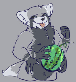 anthro blep food fruit male melon multi_arm multi_limb plant solo standing summerstory tongue tongue_out watermelon ailurid mammal red_panda