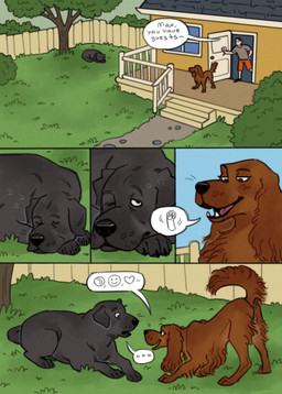 4_toes anatomically_correct anatomically_correct_genitalia anatomically_correct_vulva animal_genitalia animal_vulva anus backyard barely_visible_genitalia barely_visible_sheath black_body building canine_genitalia canine_vulva dialogue digitigrade duo feet female female_feral fence feral floppy_ears fully_sheathed fur genitals gesture grass hair hindpaw house imminent_sex introduction long_ears long_hair lying male male/female male_feral on_front outside paws plant quadruped raised_tail red_body red_fur sheath sleeping speech_bubble suggestive suggestive_gesture suggestive_look tail toes tree vulva fernsigillum bird_dog canid canine canis domestic_dog hunting_dog irish_setter labrador mammal retriever setter comic hi_res