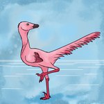 3_toes ambiguous_gender beak black_beak black_claws blue_background claws dewclaw feathers feet feral looking_back on_one_leg pink_body pink_feathers simple_background sketch_background solo standing toes water kutv dinosaur feathered_dinosaur feathered_scalie prehistoric_species reptile scalie sinornithoides 1:1 absurd_res hi_res sketch