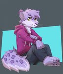 anthro barefoot blue_eyes bottomwear cheek_tuft clothed clothing facial_spots facial_tuft feet fur glistening glistening_eyes green_eyes grey_bottomwear grey_clothing grey_pants hair hoodie looking_at_viewer male markings mouth_closed neck_tuft pants purple_body purple_fur purple_hair short_hair simple_background sitting solo spots spotted_body spotted_face spotted_fur spotted_markings spotted_neck spotted_tail tail tail_markings topwear tuft whiskers white_body white_fur kuttoyaki felid mammal full-length_portrait hi_res portrait