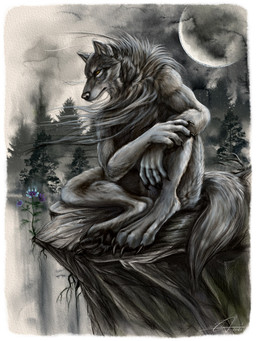 anthro claws flower looking_aside male outside pawpads plant sitting solo tree steelsart canid canine canis mammal wolf 3:4 full-length_portrait hi_res portrait