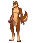 anthro brown_body brown_eyes brown_fur erection fur genitals grin humanoid_genitalia humanoid_penis male multicolored_body multicolored_fur nude penis simple_background smile solo two_tone_body two_tone_fur varollis rafael_belmont canid canine canis mammal wolf absurd_res hi_res