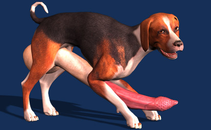 animal_genitalia animal_penis balls big_penis erection feline_genitalia feline_penis feral fur genitals huge_penis hyper hyper_genitalia hyper_penis male nude penis realistic_feral simple_background solo tapiko beagle canid canine canis domestic_dog hunting_dog mammal scent_hound 3d_(artwork) alpha_channel digital_media_(artwork)
