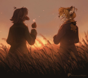 anthro cloak clothing dandelion duo field flower looking_at_another male male/male plant sun sunset wheat wheat_field tatujapa edgar_vladilisitsa joseph_corbeau avian bird canid canine corvid corvus_(genus) fox mammal oscine passerine digital_drawing_(artwork) digital_media_(artwork) hi_res