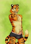 anthro biped blush briefs chest_tuft circumcised clothed clothing erection fur genitals green_background green_eyes looking_down male navel penis penis_poking_out simple_background solo standing striped_body striped_fur stripes topless tuft underwear whiskers canned_(artist) felid mammal pantherine tiger 2015