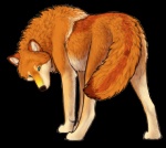 2010 alpha_channel autie_(autumn_sunrise) autumn_sunrise black_nose blue_eyes butt canid canine canis female female_(lore) feral fur looking_at_viewer mammal orange_body orange_fur presenting presenting_hindquarters quadruped simple_background solo tail transparent_background white_body white_fur wolf