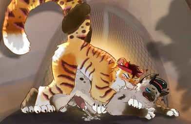 andromorph anthro bite blush bodily_fluids breed breeding_kink camping_tent cum cum_inside duo ejaculation fur genital_fluids genitals intersex male male/male markings orange_body orange_fur penis raised_tail striped_markings striped_tail stripes submissive submissive_male tail tail_markings just_nathan_(artist) just_nathan zackko birman_cat domestic_cat felid feline felis mammal pantherine siamese tiger absurd_res hi_res