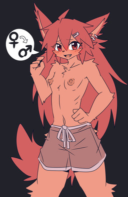 anthro breasts brown_body brown_fur clothed clothing crossdressing female female_symbol fur gender_symbol hair male_symbol nipples red_eyes red_hair small_breasts solo swimwear symbol tomboy topless topless_female kiukiu male_swimwear_challenge canid mammal absurd_res hi_res