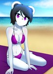 5_fingers anthro beach bikini bikini_top biped black_hair black_nose breasts cleavage clothed clothing collarbone detailed_background eye_through_hair eyebrow_through_hair eyebrows eyelashes feet female fingers fur glistening glistening_eyes hair looking_at_viewer medium_breasts navel outside purple_bikini purple_bikini_bottom purple_bikini_top purple_clothing purple_eyes purple_swimwear sand seaside solo swimwear toes translucent translucent_hair two-piece_swimsuit white_body white_fur erdfurry freedom_planet galaxytrail neera_li bear giant_panda mammal ursine 2021 absurd_res full-length_portrait hi_res portrait shaded