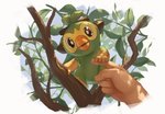 5_fingers ambiguous_gender day disembodied_hand duo fingers humanoid_hands leaf looking_at_viewer open_mouth plant solo_focus tree supearibu nintendo pokemon generation_8_pokemon grookey human mammal pokemon_(species) 2019