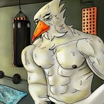 abs barbell beak bedroom_eyes bodily_fluids detailed_background electronics feathers fluffy gym male muscular narrowed_eyes nipples phone punching_bag seductive sweat towel vein veiny_muscles xcoreus avian bird gull lari larid 1:1 absurd_res digital_media_(artwork) hi_res shaded signature