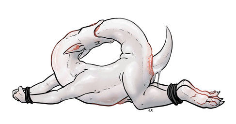 all_the_way_through anal anal_penetration anthro anus bodily_fluids bound eyes_closed feet feet_tied genital_fluids glistening glistening_body hands_tied horn legs_tied long_neck long_tail lying male on_front oral oral_penetration penetration pink_anus sex soles solo tail tail_fetish tail_play tail_sex tongue white_body crowbarcrow mythology dragon mythological_creature mythological_scalie scalie hi_res