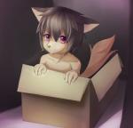 adolescent box box_of_cuteness cardboard cardboard_box container looking_at_viewer male purple_eyes simple_background solo text young young_male toye2004 if_it_fits_i_sits_(meme) canid canine canis domestic_dog mammal english_text hi_res meme