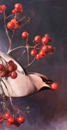 berry branch feathers feral food fruit on_branch perching plant solo white_body white_feathers renum63 avian bird oscine passerine waxwing 2014 artrage_(artwork) digital_media_(artwork)